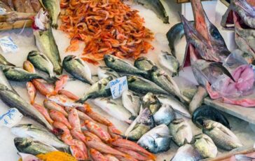 meno carne piu pesce azzurro 10 consigli del pediatra per una dieta sana anti caro spesa 2