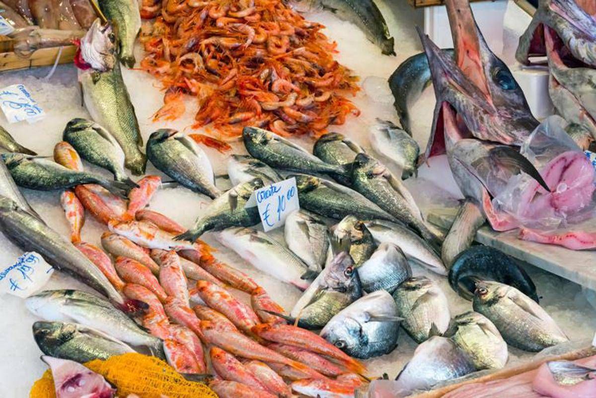"Meno carne più pesce azzurro", 10 consigli del pediatra per una dieta sana anti caro spesa
