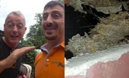 Pierluigi Diaco e Alessio Orsingher punti dalle vespe in casa interviene il disinfestatore Nido enorme 265x160