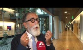 Protezione minori Ruotolo Pd Serve armonizzazione europea sul tema non divieti isolati 265x160