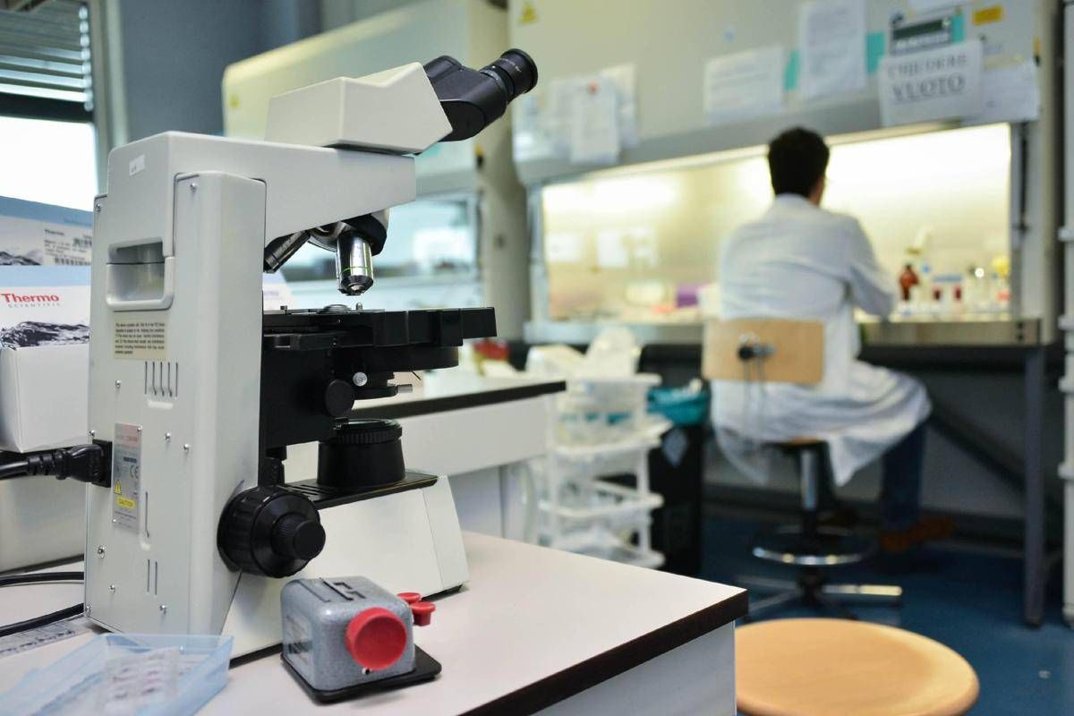 Ricerca, in Italia nel 2024 autorizzati 669 studi clinici: "Serve nuovo modello per ridefinire valore dati sanitari"