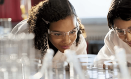 Ricercamondo compie 10 anni e arriva nelle scuole secondarie di primo grado 265x160