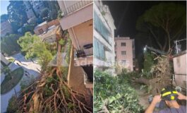 Roma pino secolare cade su un palazzo in zona Salaria residenti bloccati 265x160