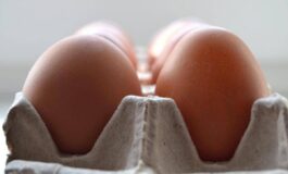 Salmonella sul guscio richiamato anche lotto di uova Despar e Fattorie Natura Coop 265x160