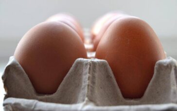 salmonella sul guscio richiamato anche lotto di uova despar e fattorie natura coop 2
