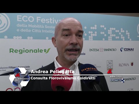 Sustainability, Pellegatta (Coldiretti): 'Trees counteract the negative effects of climate change.