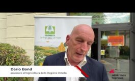 Tabacco Bond Regione Veneto Con accordo di filiera reddito e sicurezza agli agricoltori 265x160