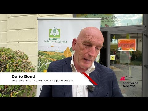 Tabacco, Bond (Regione Veneto): “Con accordo di filiera reddito e sicurezza agli agricoltori”