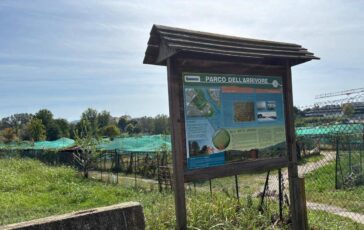 Torino presunto abuso al parco dellArrivore FdI chiede chiarimenti al Comune 364x230
