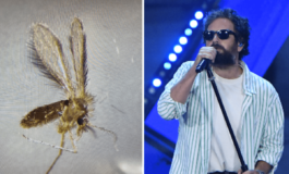 Toscana virus cose Pregliasco Non sottovalutare tra luglio e settembre picco pappataci 265x160