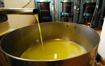 unifol per movimenti dellolio sfuso si alla bolla elettronica 2