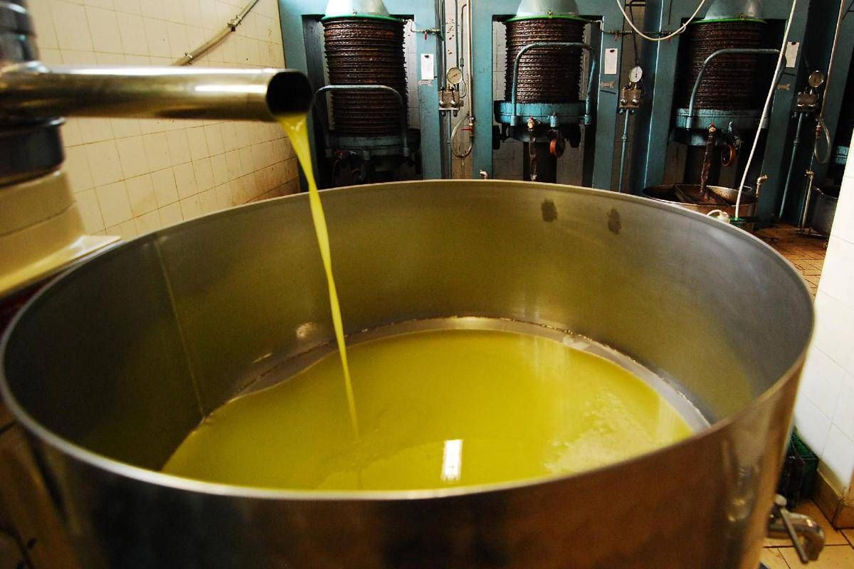 Unifol: "Per movimenti dell'olio sfuso﻿ sì alla bolla elettronica "