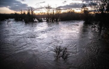 Violenta ondata di maltempo in Toscana allagamenti alberi caduti e decine di interventi dei vigili del fuoco 364x230