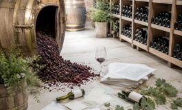 Calano di quasi un quarto le rese vinicole della Crimea nel 2026