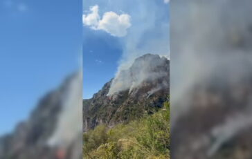 featured 3666008 364x230
