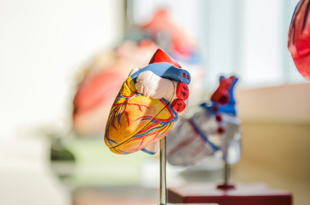 "No ai volantini per la donazione degli organi in più lingue": scoppia la polemica a Gallarate