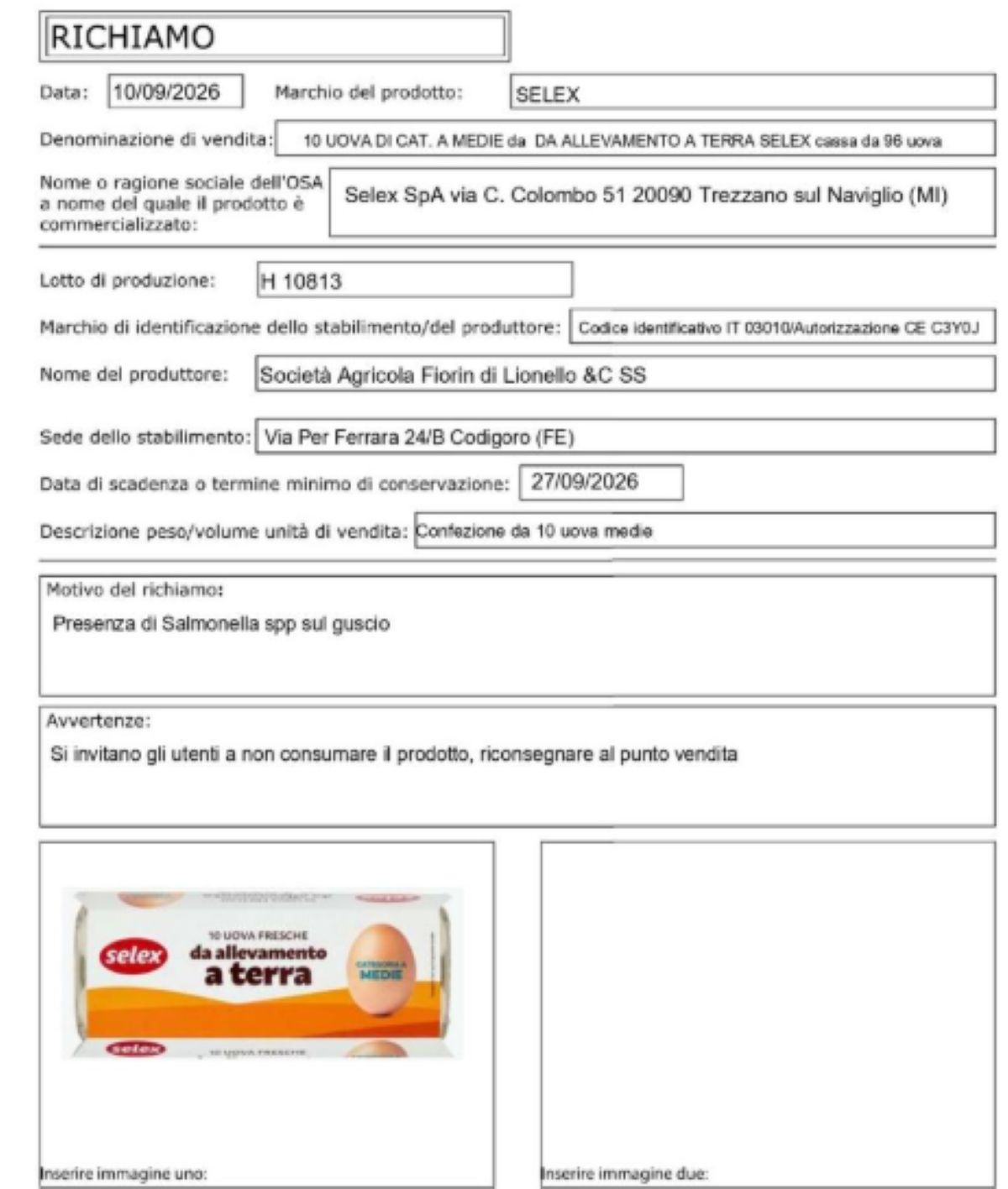 imagen1 1