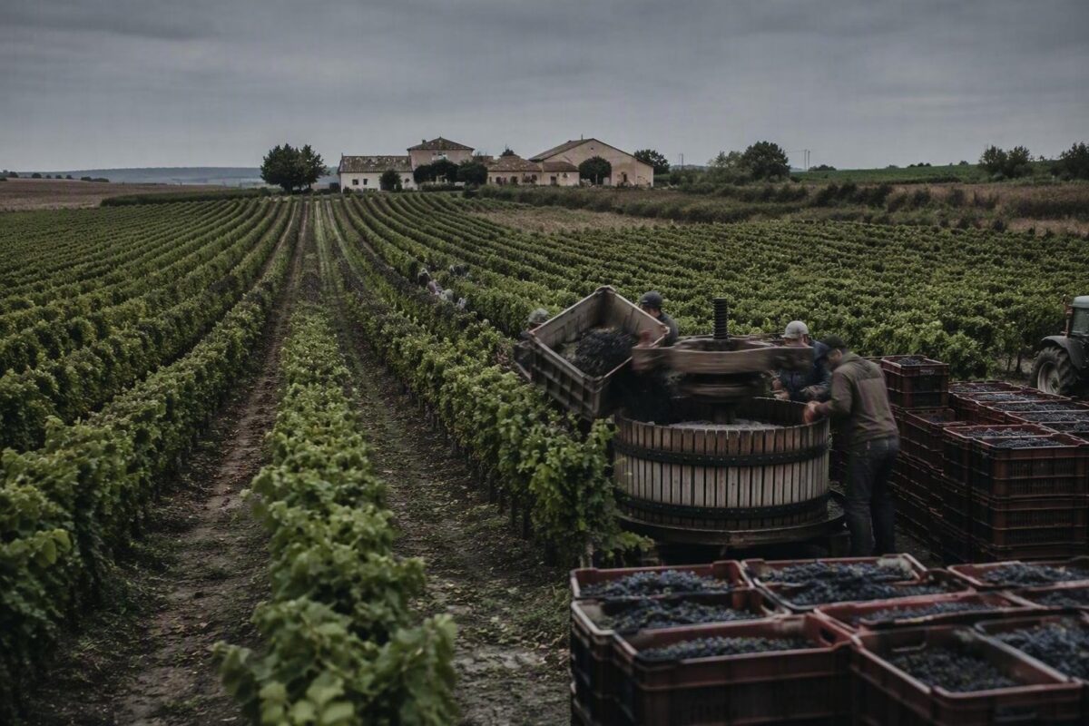 Incidente mortale durante vendemmia in contrada Quaranta Salme