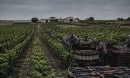 Incidente mortale durante vendemmia in contrada Quaranta Salme