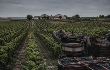 Incidente mortale durante vendemmia in contrada Quaranta Salme