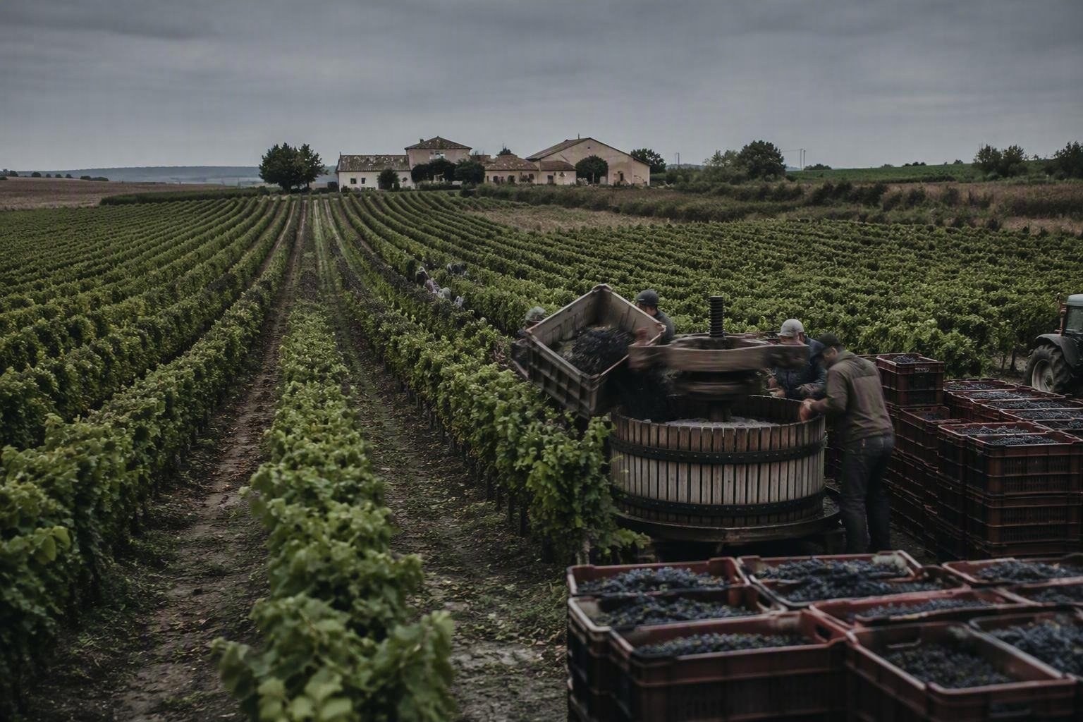 https://static.adhubmedia.com/notizie_it/wp-content/uploads/2026/09/incidente-mortale-durante-vendemmia-in-contrada-quaranta-salme-az-1788690717.jpg