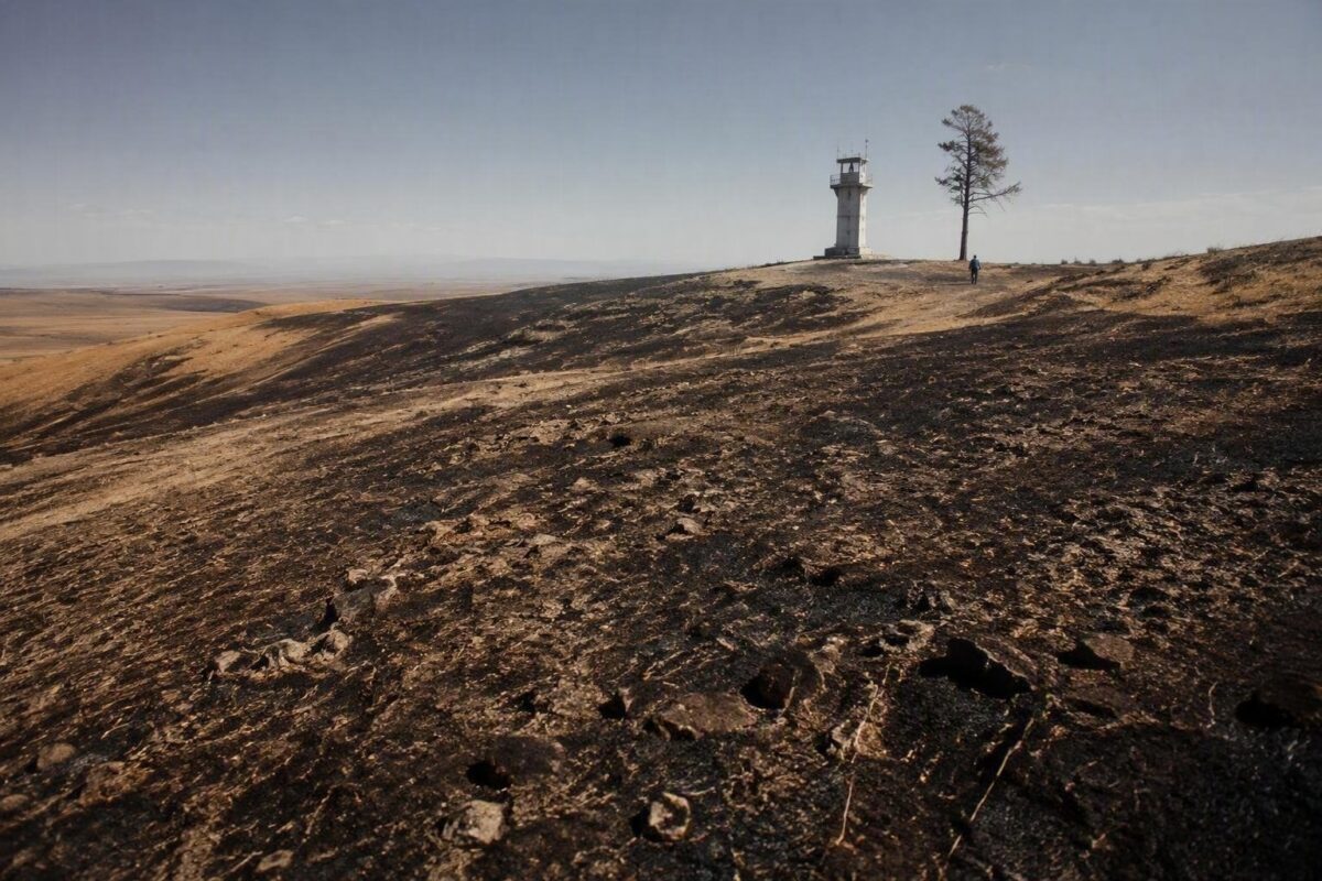Luglio 2026 in Russia: temperature record e conseguenze del riscaldamento globale