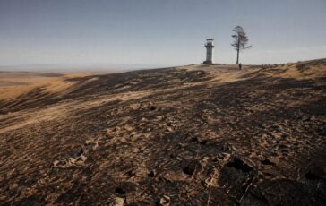 July 2026 in Russia: Record temperatures and the consequences of global warming
