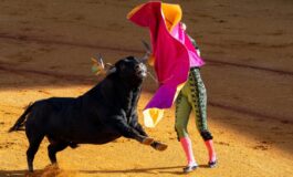 Toro scavalca la barriera e finisce tra il pubblico: paura durante la corrida