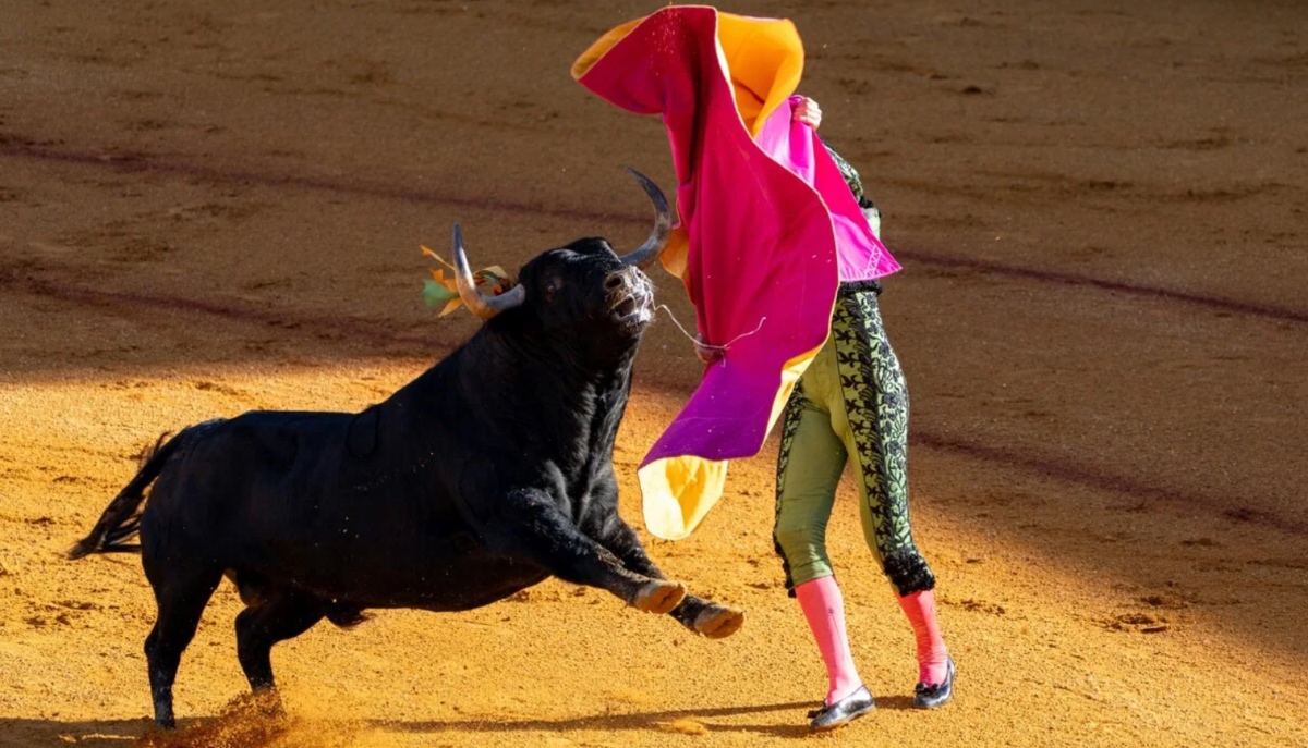 Spagna, toro salta la barriera durante la corrida: paura tra il pubblico