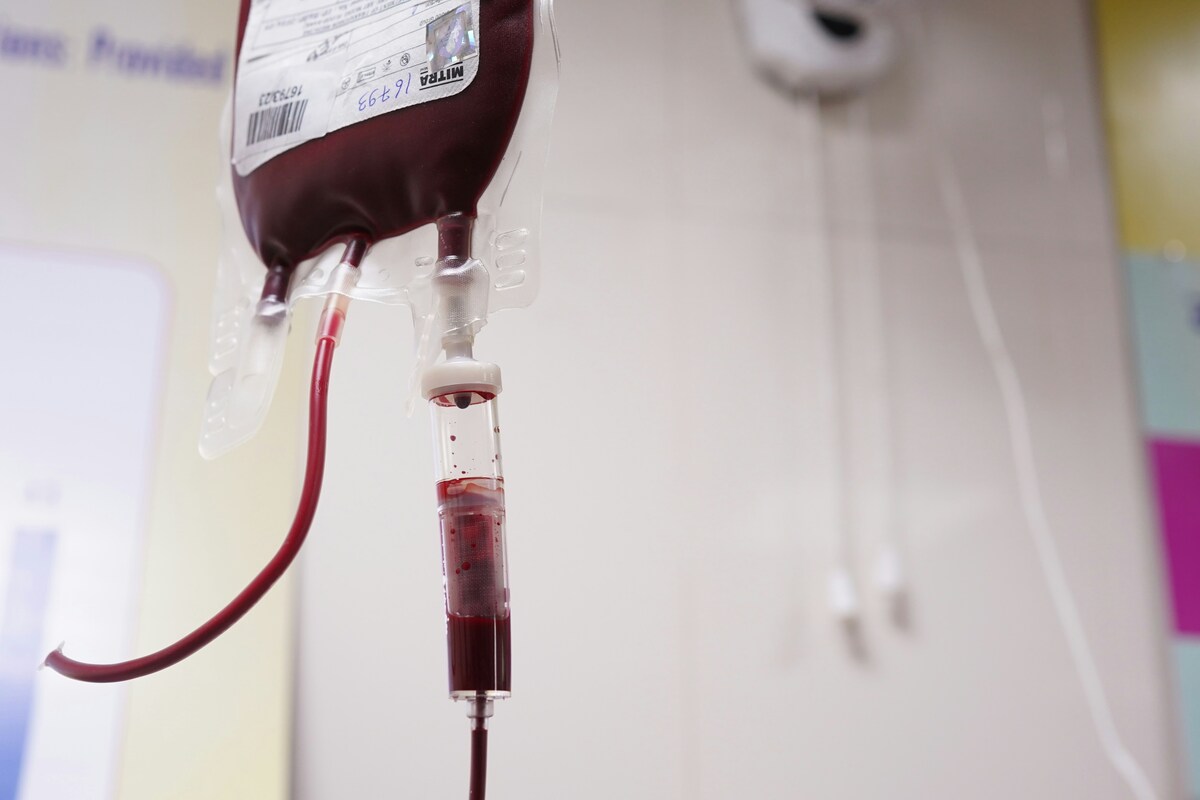 Testimoni di Geova, la svolta: tolto il divieto alle trasfusioni di sangue