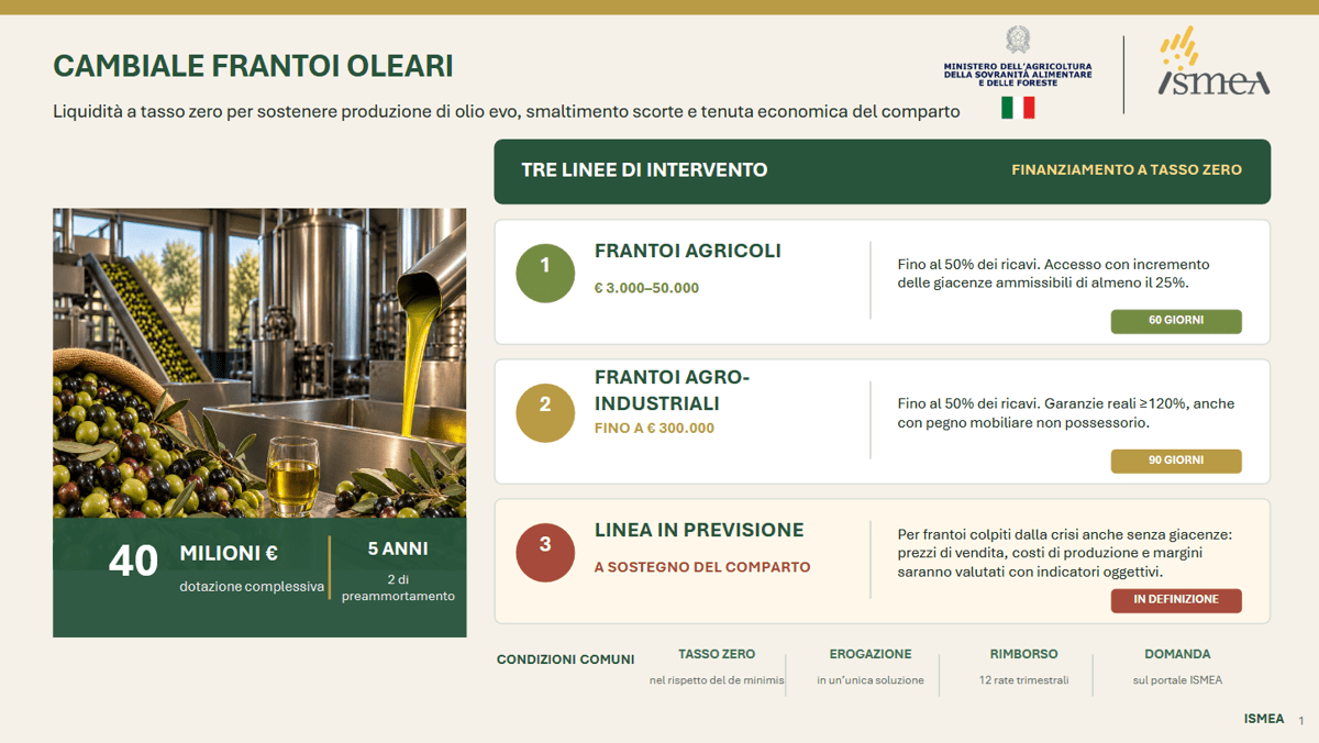 Agricoltura, Ismea: 40 mln per frantoi con 'Cambiale Frantoi Oleari'