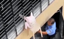 Bimba di 3 anni si sporge dalla finestra al 12esimo piano e resta sospesa nel vuoto il miracoloso salvataggio VIDEO 265x160