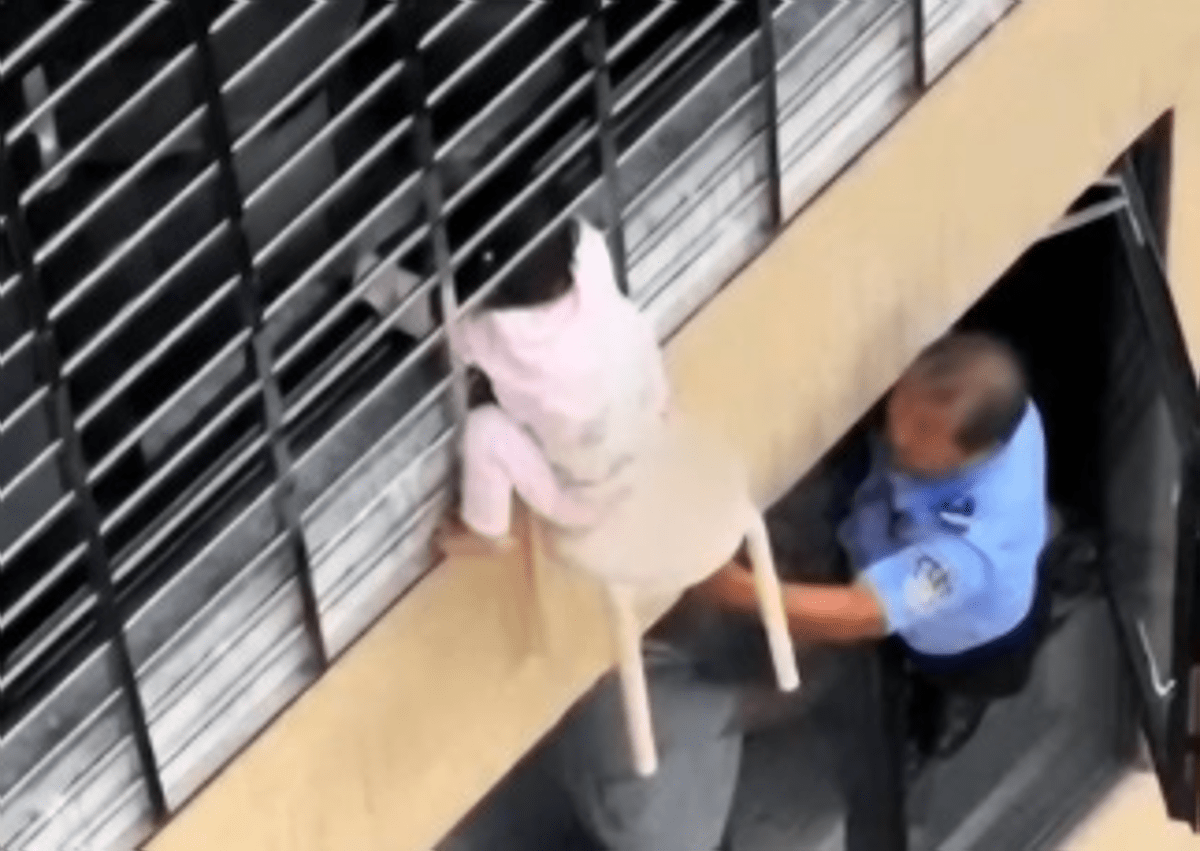 Bimba di 3 anni si sporge dalla finestra al 12esimo piano e resta sospesa nel vuoto: il miracoloso salvataggio - VIDEO