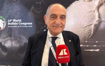 campanile buffalo federation robotica e genomica cambieranno lallevamento 2