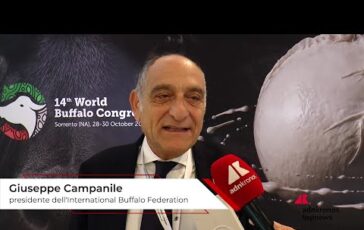campanile international buffalo federation robotica e genomica cambiano allevamento bufalino 2
