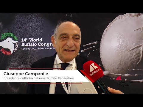 Campanile (International Buffalo Federation): ""Robotica e genomica cambiano allevamento bufalino""