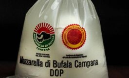 Caro carburanti per sciopero autotrasporto bloccata produzione mozzarella di Bufala Campana 265x160