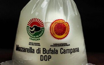 Caro carburanti per sciopero autotrasporto bloccata produzione mozzarella di Bufala Campana 364x230