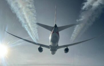 cimici dei letti a bordo di un aereo proveniente dallaustralia volo qantas fermato a fiumicino cose successo 2