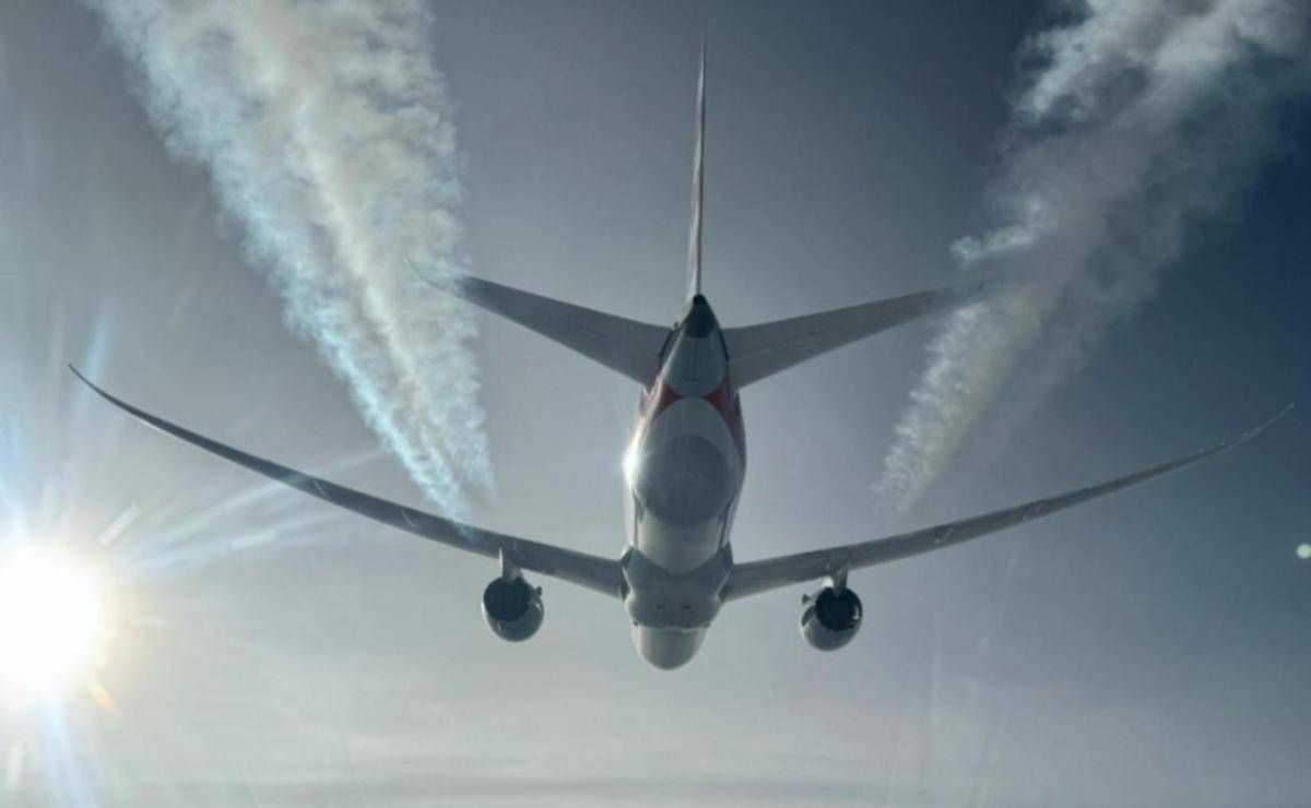 Cimici dei letti a bordo di un aereo proveniente dall'Australia, volo Qantas fermato a Fiumicino: cos'è successo