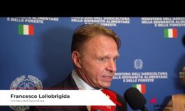 Commercio Federdistribuzione Lollobrigida Masaf Tanti nostri prodotti gia nel nome evocano 265x160