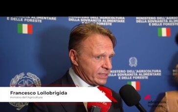 Commercio Federdistribuzione Lollobrigida Masaf Tanti nostri prodotti gia nel nome evocano 364x230