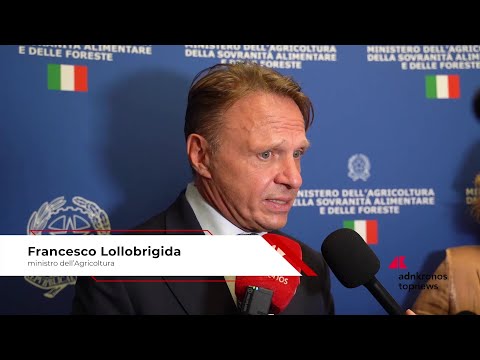 Commercio, Federdistribuzione: Lollobrigida (Masaf), 'Tanti nostri prodotti già nel nome evocano
