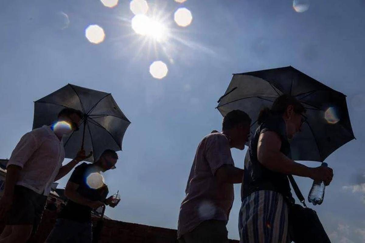 Crisi climatica e caldo record, Lancet: "È un'emergenza sanitaria globale, 710mila morti nel 2023"