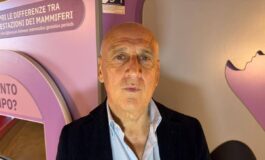 Farmaci Agostiniani Sip Contro Rsv nuova opportunita per pediatri 265x160