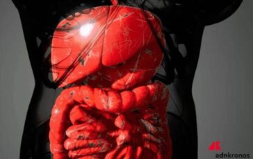Farmaci Aifa approva mirikizumab anche nel trattamento della malattia di Crohn 364x230
