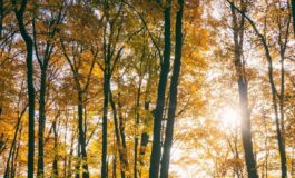 Il maltempo molla la presa torna lanticiclone e salgono le temperature la tendenza dei prossimi giorni 265x160