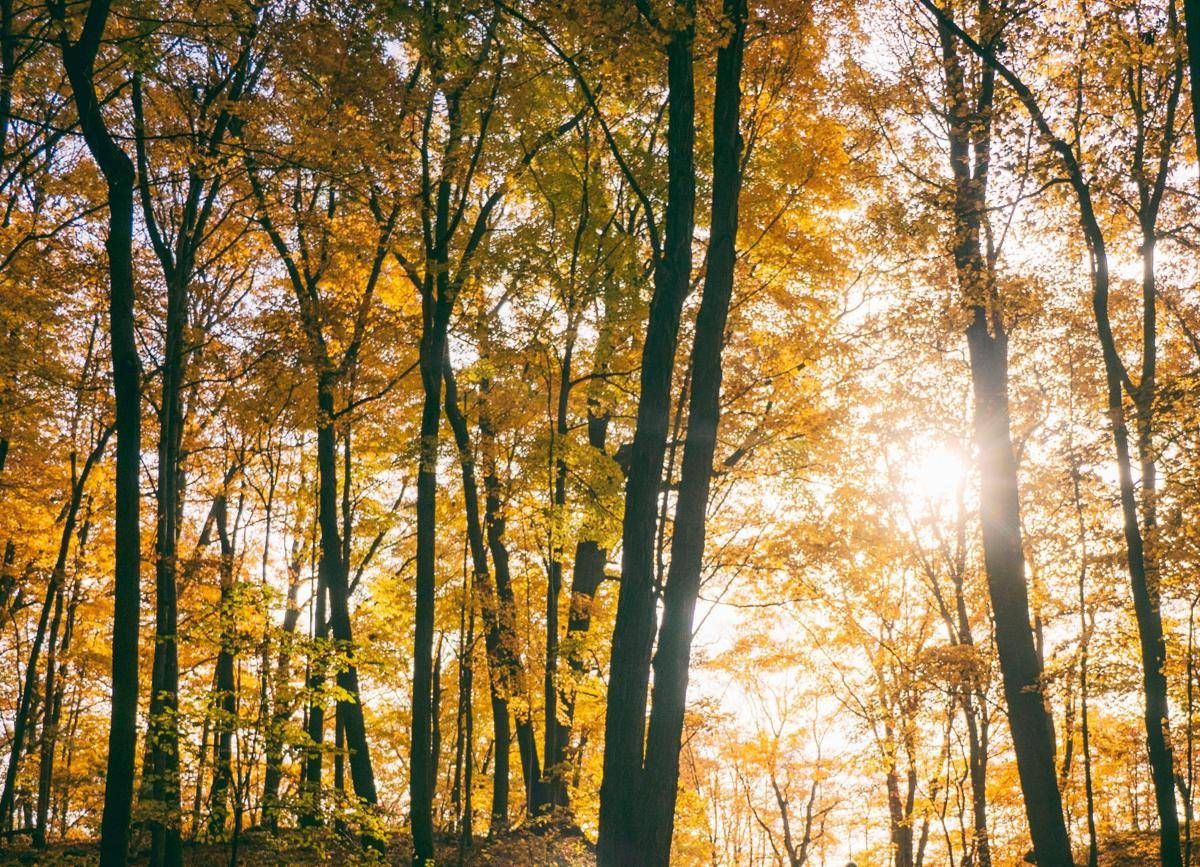 Il maltempo molla la presa, torna l'anticiclone e salgono le temperature: la tendenza dei prossimi giorni