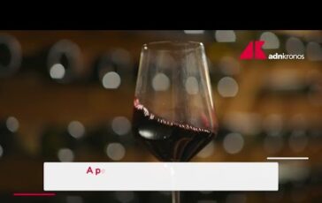 Il vino italiano rilancia la sfida negli Stati Uniti Video 364x230