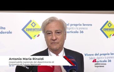 Lavoro Rinaldi Fn Diminuire cuneo fiscale e solo un palliativo 364x230